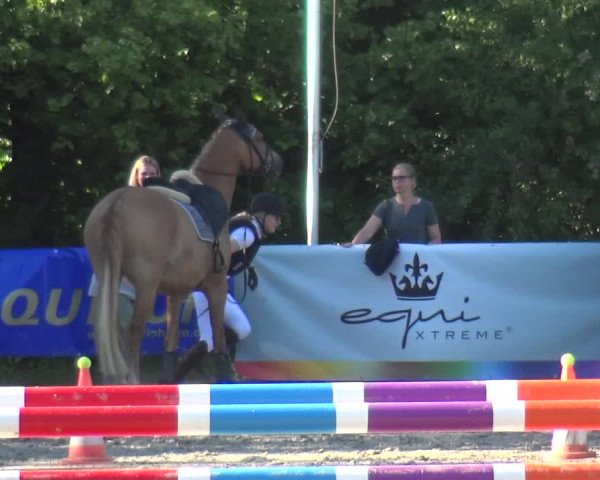 Reitturnier Remscheid 2019