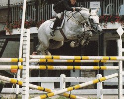 Deckhengst Greeton du Rezidal (Belgisches Warmblut, 1990, von Galant de la Cour)