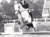 stallion Eaton du Rezidal (Belgium Sporthorse, 1988, from Furisto)