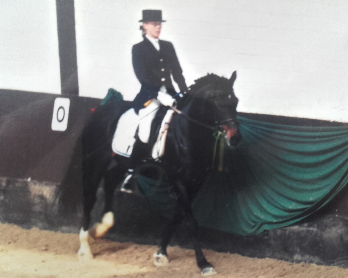 stallion Vis-A-Vis II (German Riding Pony, 1989, from Vulkan)