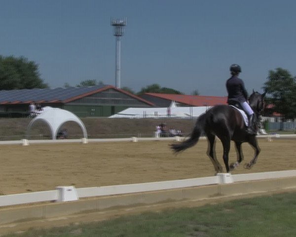Reitturnier Vorsfelde 2019