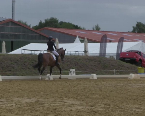 Reitturnier Vorsfelde 2019