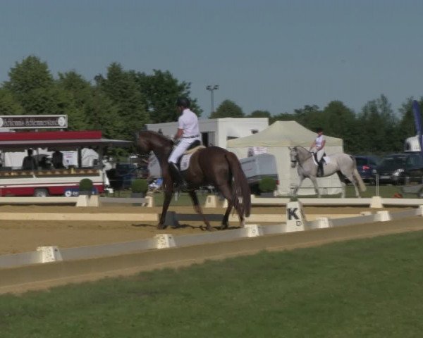 Reitturnier Vorsfelde 2019
