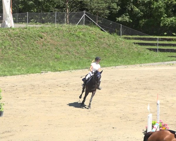 Reitturnier Schaffhausen 2019