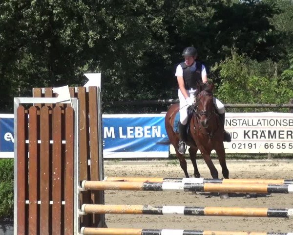 Reitturnier Remscheid 2019