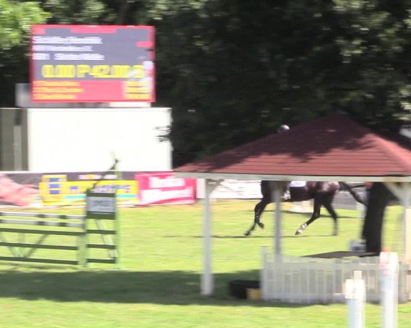Reitturnier Vorsfelde 2019