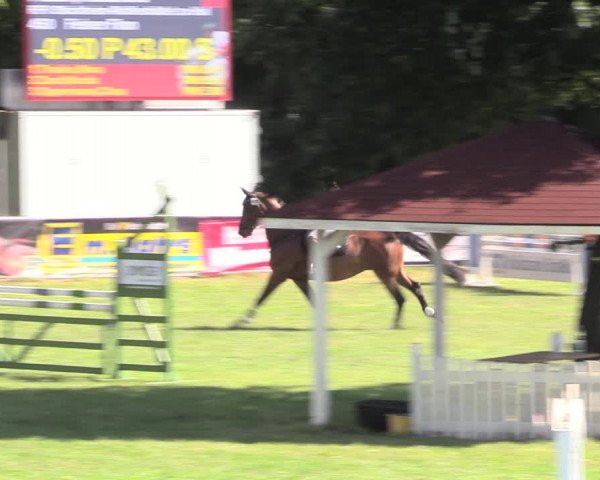 Reitturnier Vorsfelde 2019