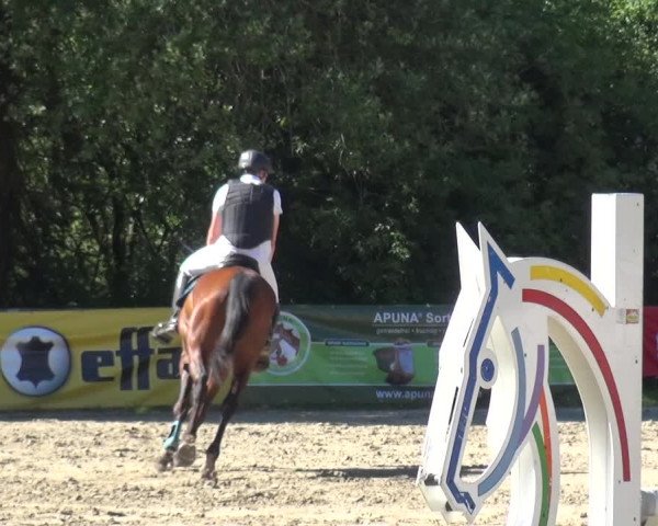 Reitturnier Remscheid 2019