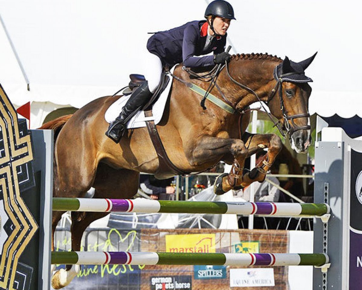 Springpferd Dougie Douglas (Irish Sport Horse, 2005, von Douglas)