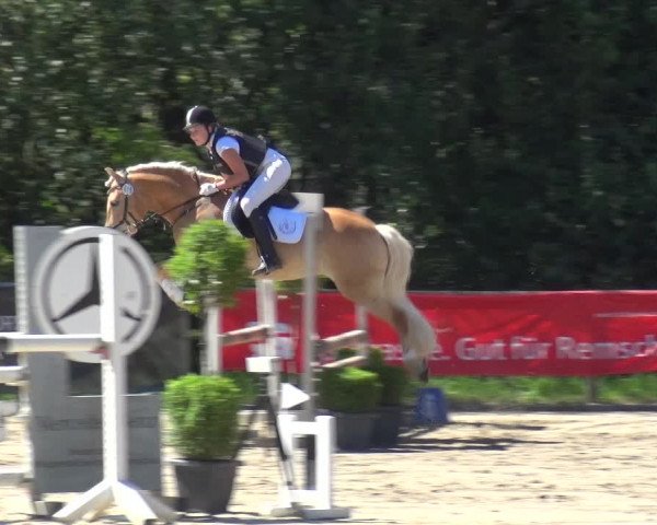 Reitturnier Remscheid 2019