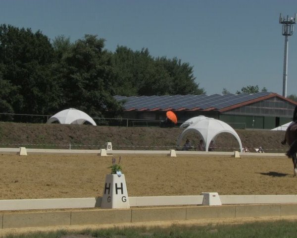 Reitturnier Vorsfelde 2019