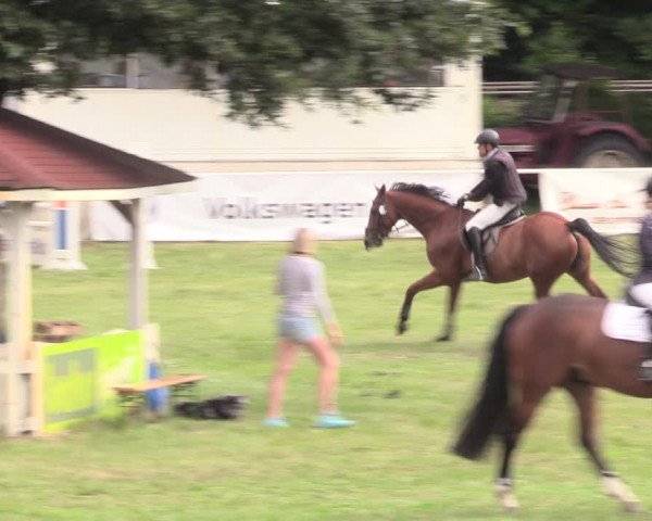 Reitturnier Vorsfelde 2019