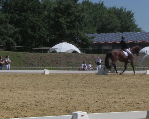 Reitturnier Vorsfelde 2019