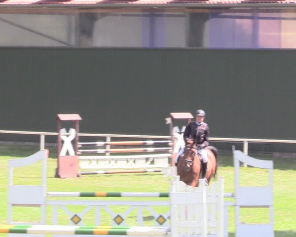 Reitturnier Vorsfelde 2019