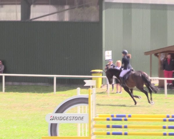 Reitturnier Vorsfelde 2019