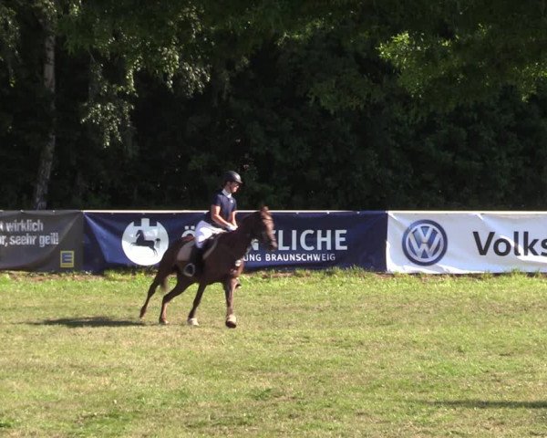 Reitturnier Vorsfelde 2019
