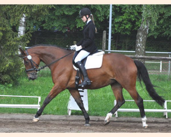 horse Fiotopia (Trakehner, 2001, from Biotop)