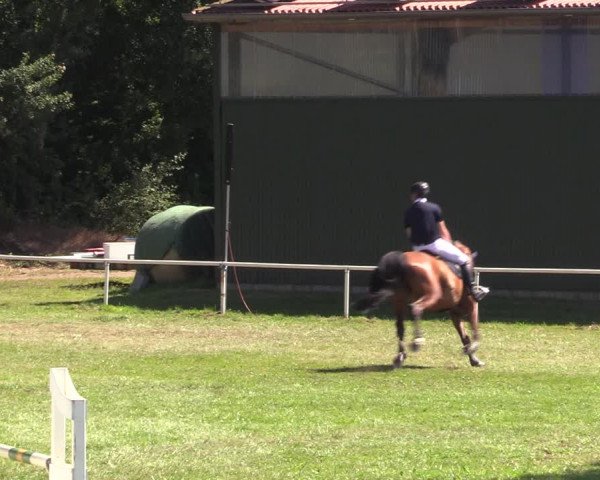 Reitturnier Vorsfelde 2019