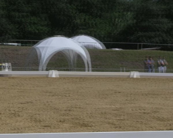Reitturnier Vorsfelde 2019