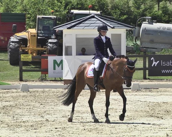 FEI Reitturnier Leudelange (LUX) 2019