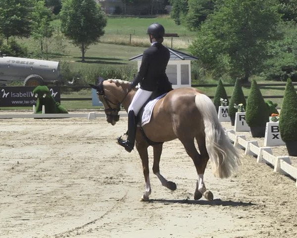 FEI Reitturnier Leudelange (LUX) 2019