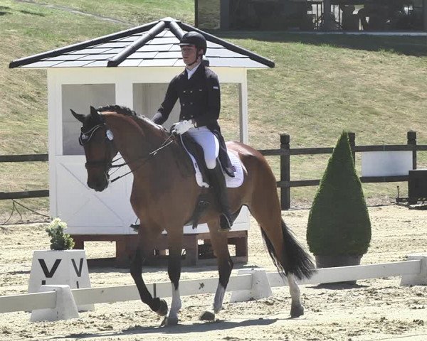 FEI Reitturnier Leudelange (LUX) 2019