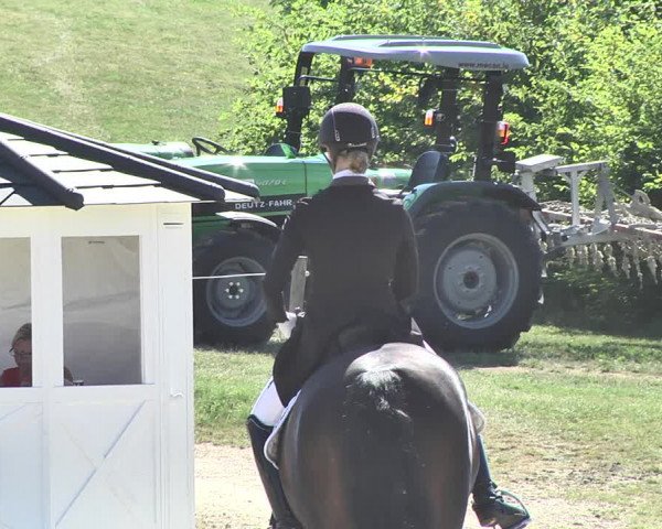 FEI Reitturnier Leudelange (LUX) 2019