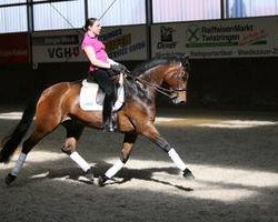 broodmare Herbstfee S (Trakehner, 2001, from Münchhausen)