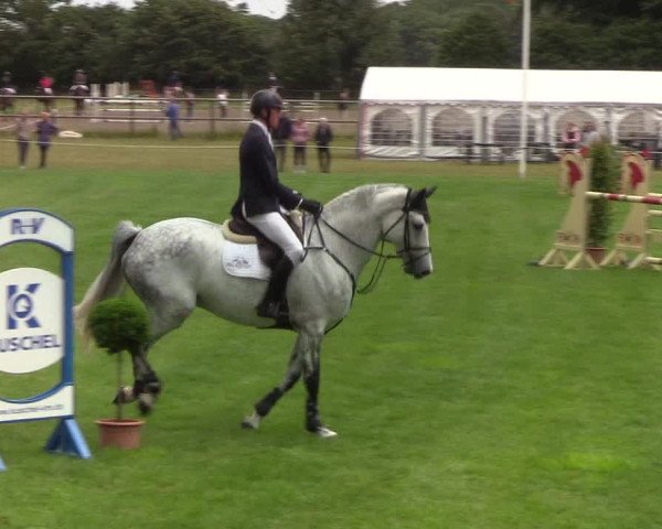 Reitturnier Hanerau-Hademarschen 2019