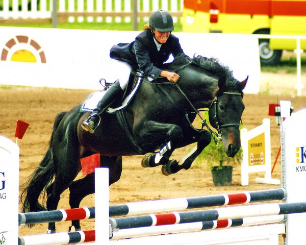 stallion Boy (Sachse, 1991, from Blaubart xx)