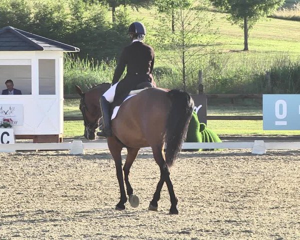 FEI Reitturnier Leudelange (LUX) 2019