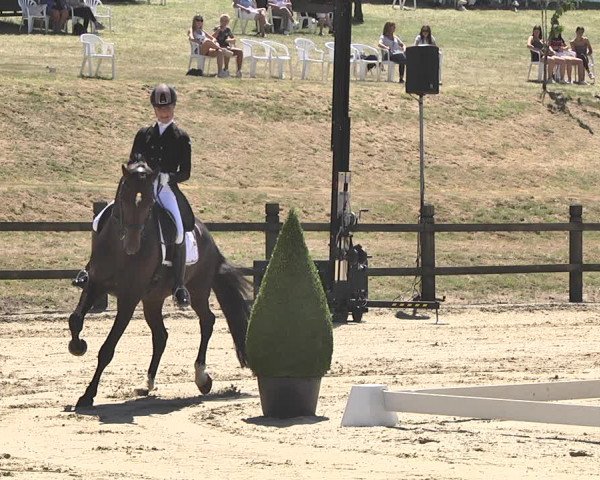 FEI Reitturnier Leudelange (LUX) 2019