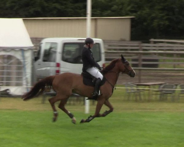 Reitturnier Hanerau-Hademarschen 2019