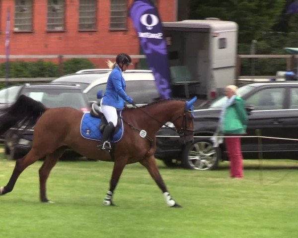 Reitturnier Hanerau-Hademarschen 2019