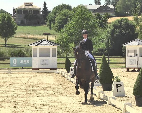 FEI Reitturnier Leudelange (LUX) 2019