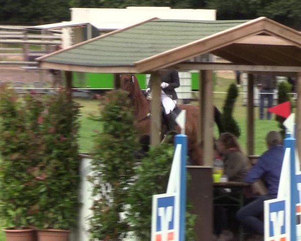 Reitturnier Hanerau-Hademarschen 2019