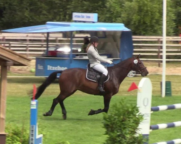 Reitturnier Hanerau-Hademarschen 2019