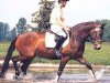 broodmare Kastella (Trakehner, 1982, from Inschallah AA)