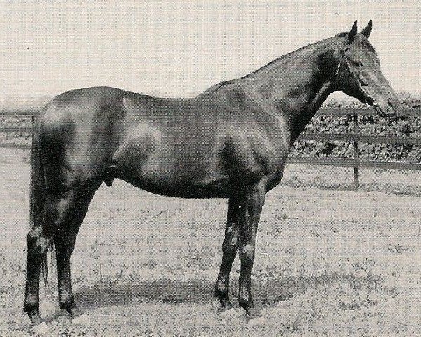 stallion Val Drake xx (Thoroughbred, 1946, from Vatellor xx)