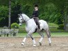 dressage horse Panzerknacker (Trakehner, 2010, from Irdenkreis)