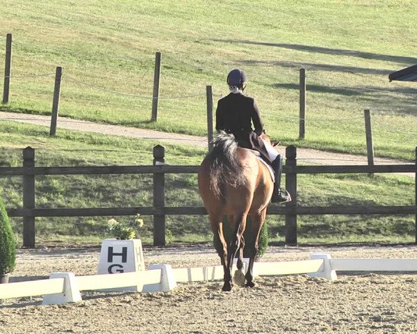 FEI Reitturnier Leudelange (LUX) 2019