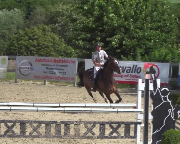 Reitturnier Kalenborn Hegehof 2019