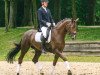 dressage horse Donna Actoria (Rhinelander, 2012, from Don Gregory)