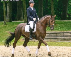 dressage horse Donna Actoria (Rhinelander, 2012, from Don Gregory)