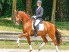 dressage horse Viactino (Rhinelander, 2013, from Vitalis)