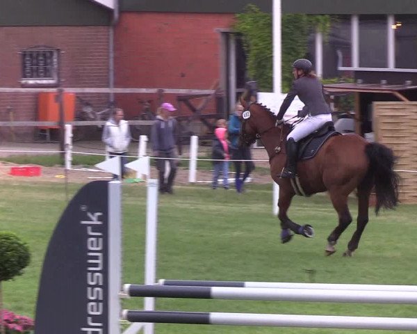 Reitturnier Hanerau-Hademarschen 2019