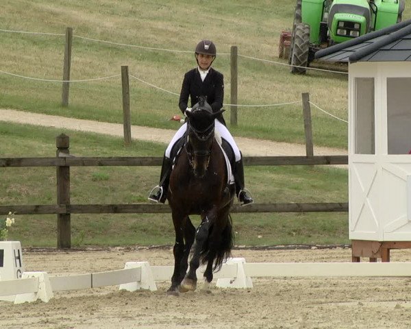 FEI Reitturnier Leudelange (LUX) 2019