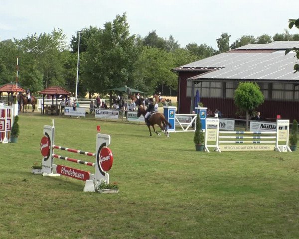 Reitturnier Delbrück-Ostenland 2019