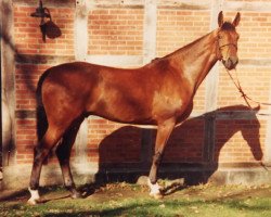 jumper Loriot (KWPN (Royal Dutch Sporthorse), 1991, from Landjonker (Fruhling))