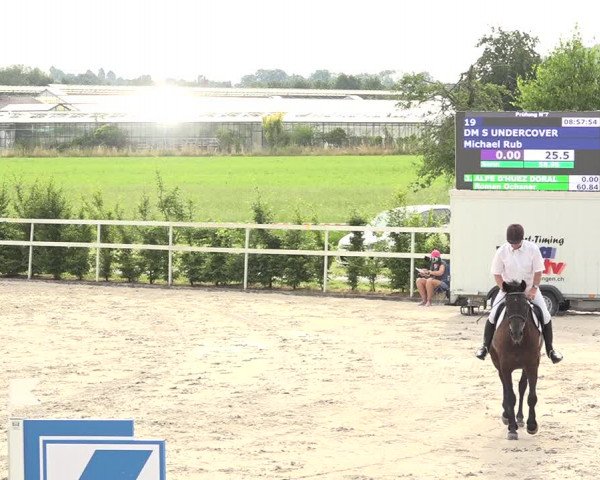 Reitturnier Möhlin 2019